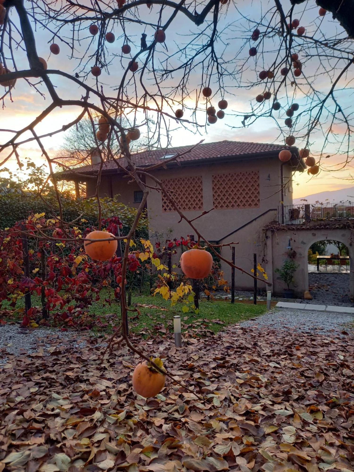 B&B Cascina La Cinciallegra Oggiono Bagian luar foto